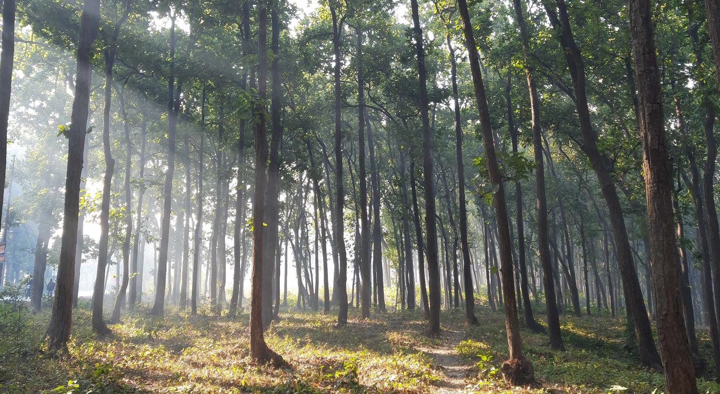 19 Acres Of Nature, Community And Tranquility image